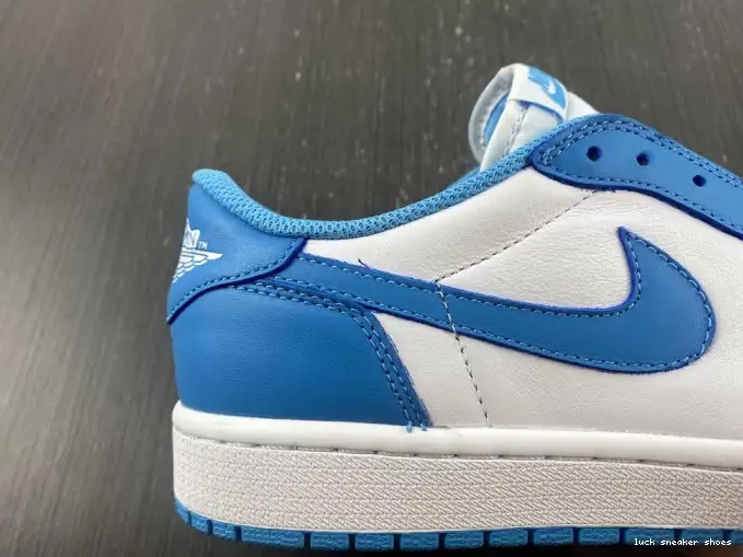 Rep LUCY CJ7891-401 x SB Jordan Nike Low UNC 1 Air 0424
